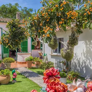Casa Vileta Сasa de vacaciones Palma de Mallorca